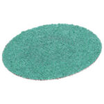 2"80G GREEN ROLOC DISCS-BLACK